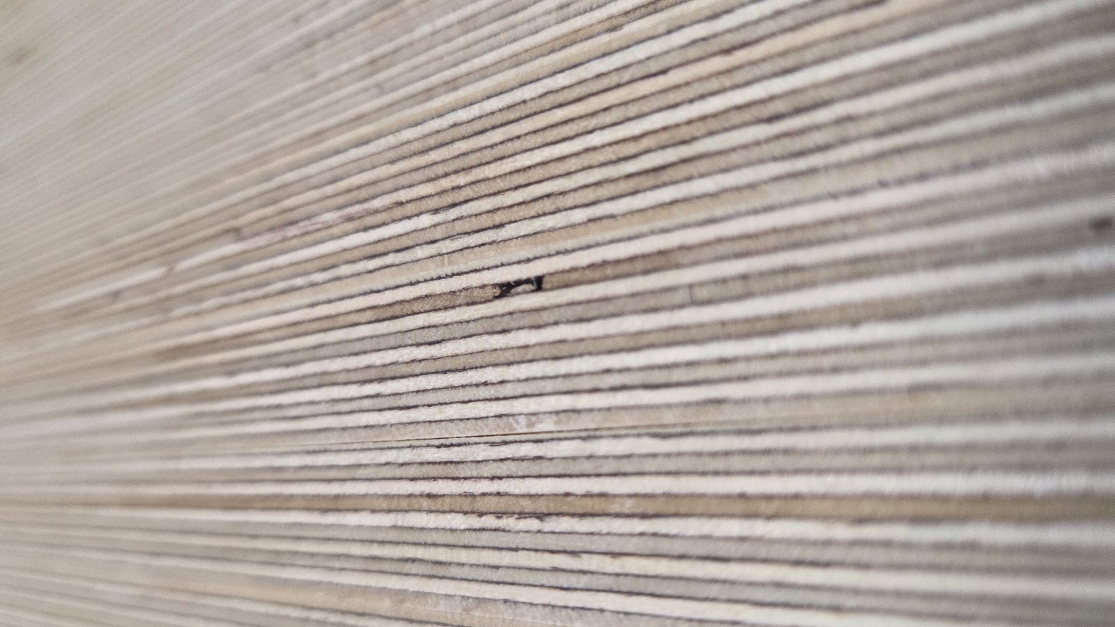 Layered birch plywood end-grain, the recyclable timber core of every Sarivale speaker cabinet.